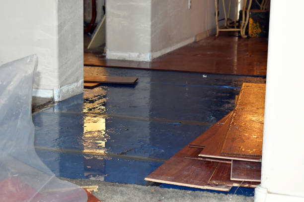 Professional Burst Pipe Cleanup technician working in Limington, ME